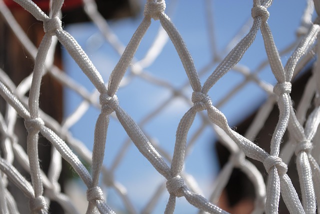 골 라인 기술이란 무엇인가