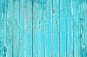 img 권력구조 개편 0