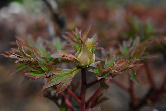 img 노란봉투법 0