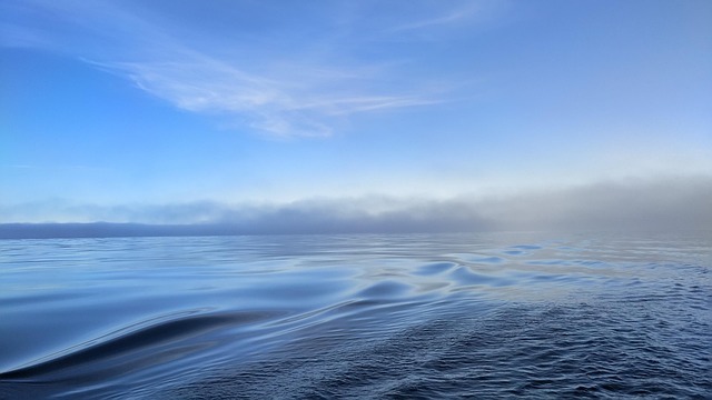 아시안 웨이브란 무엇인가? 글로벌 문화의 새로운 물결