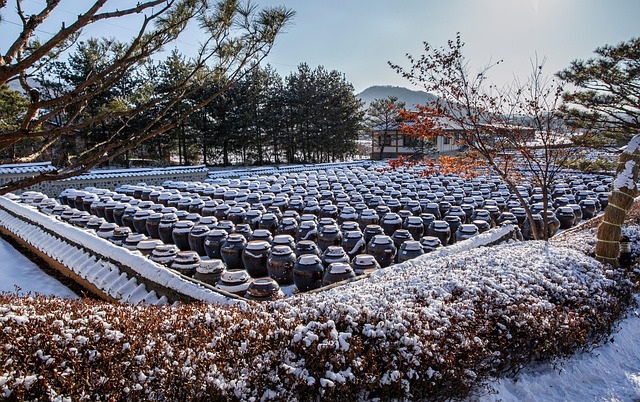2026년 한국 문화 수출 붐, 화장품·애니메이션이 이끄는 한류의 미래